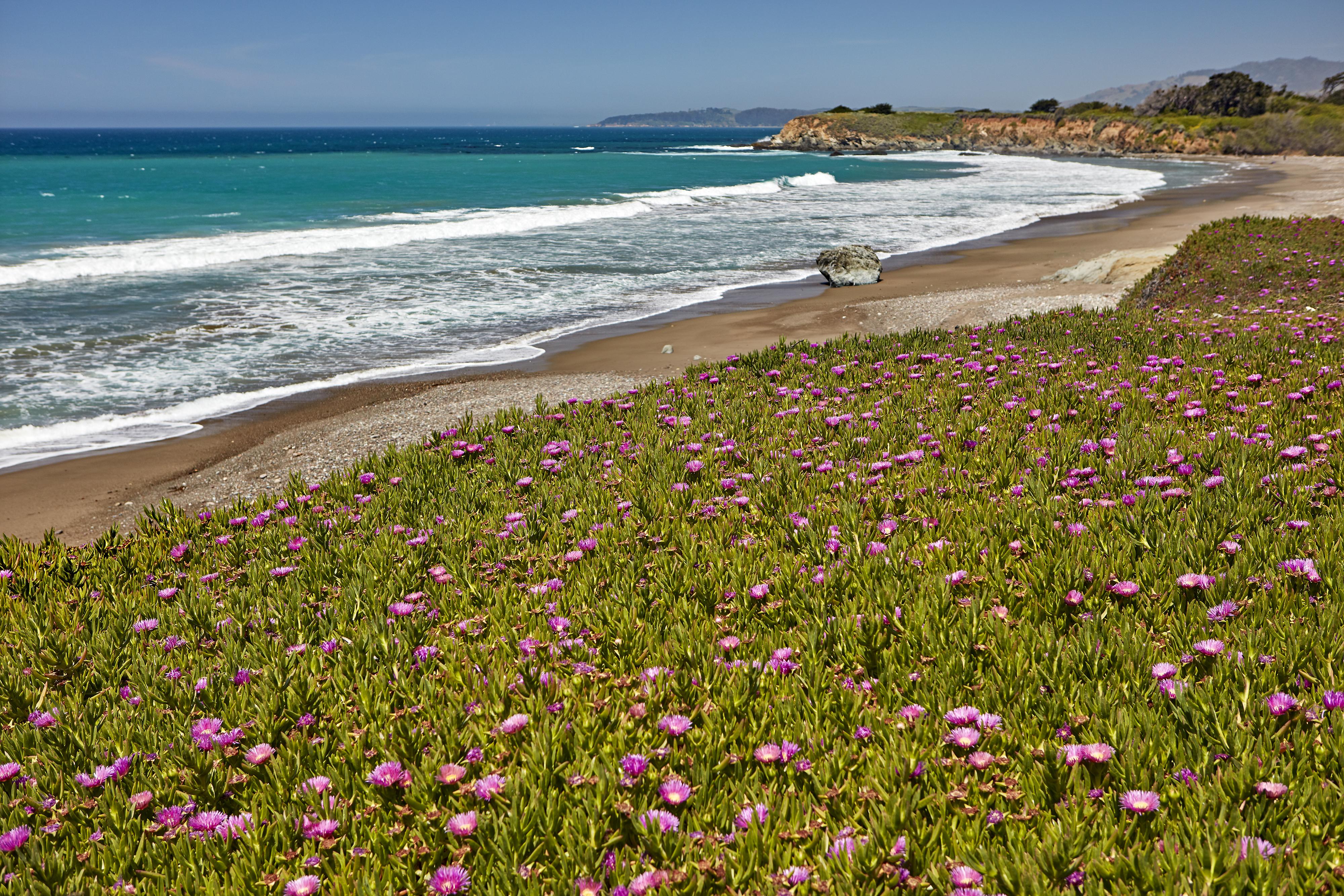 Cavalier Oceanfront Resort San Simeon Εξωτερικό φωτογραφία